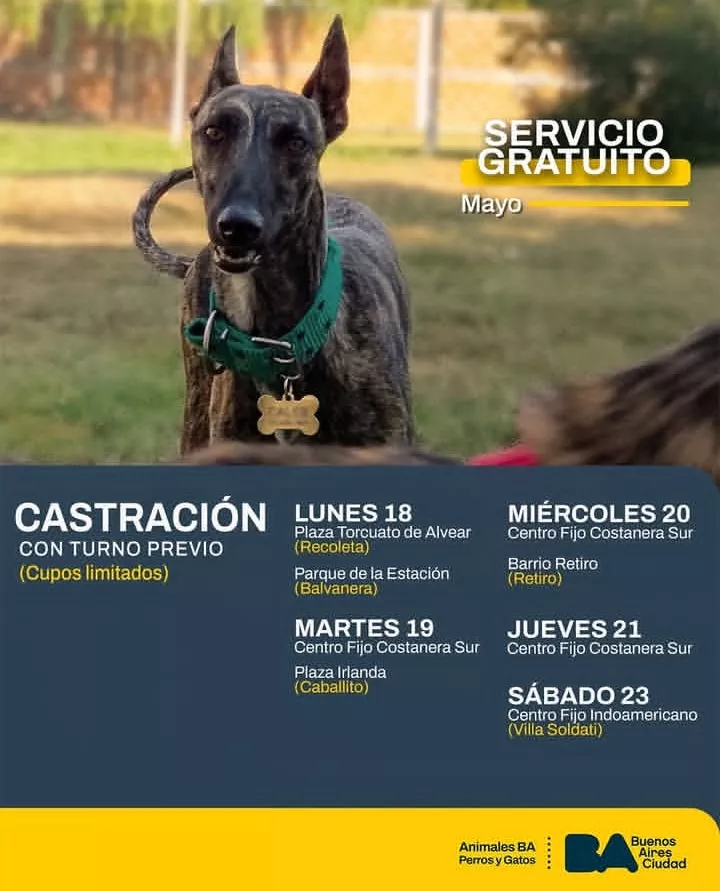 Castración Gratuita