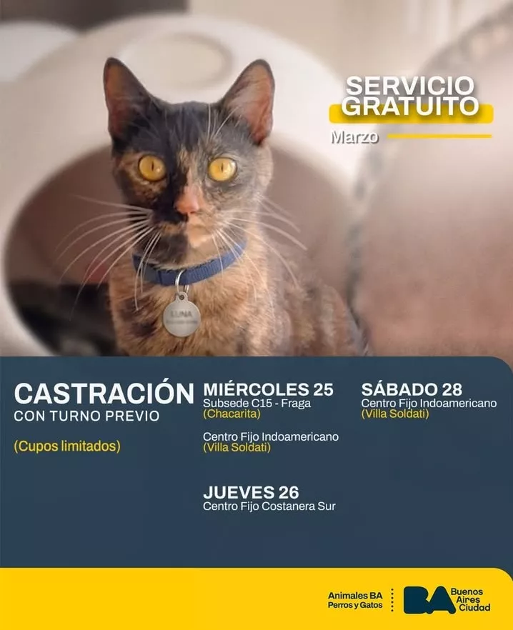 Castración en CABA