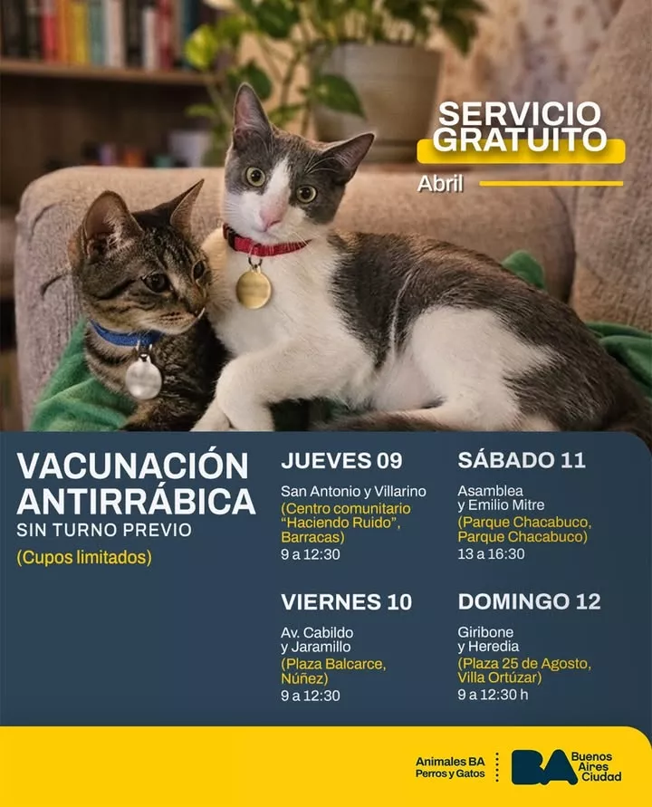 Vacunación Antirrábica