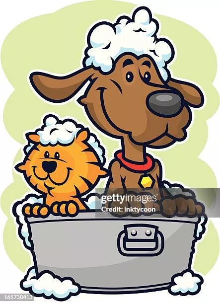 Es conveniente higienizar a perro que encontramos?