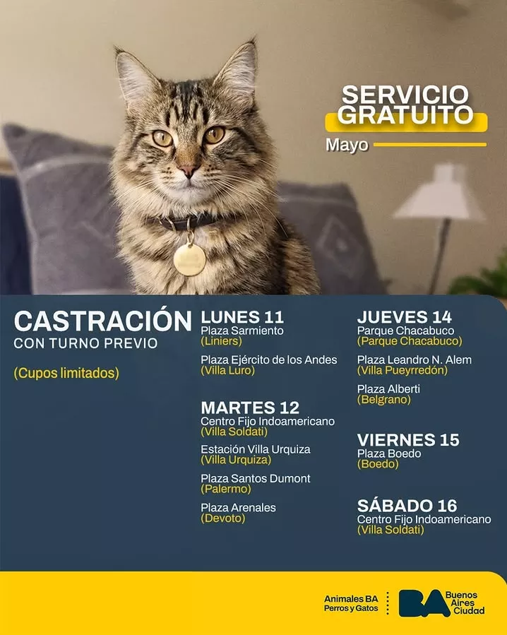 Castración