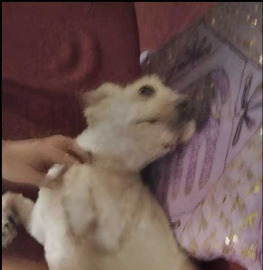 Mumi, el alma que aprendió que las manos no solo golpean, sino que también pueden ser refugio.